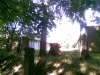 kaple_10_06