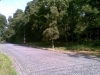 kaple_11_10