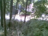 kaple_11_12