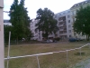 kaple_09_06