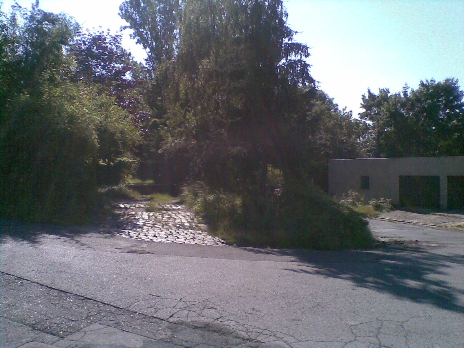 kaple_10_03