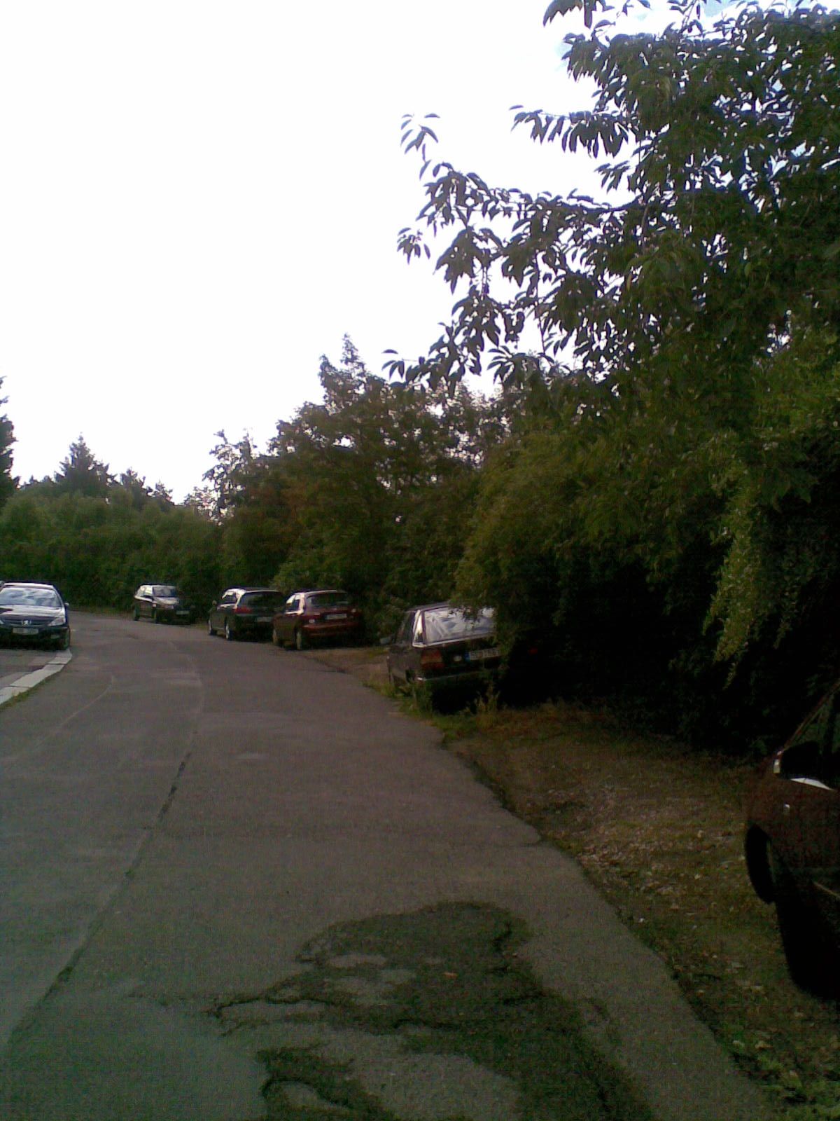 kaple_10_11
