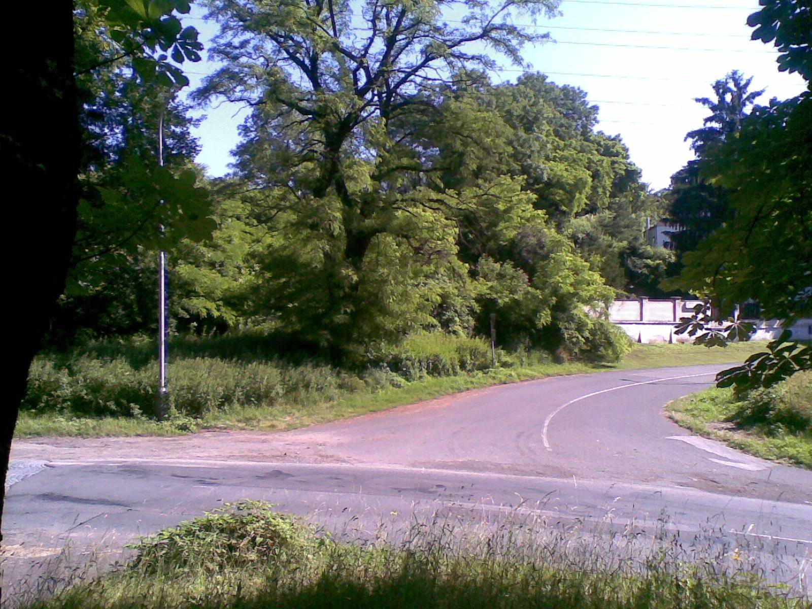 kaple_11_02