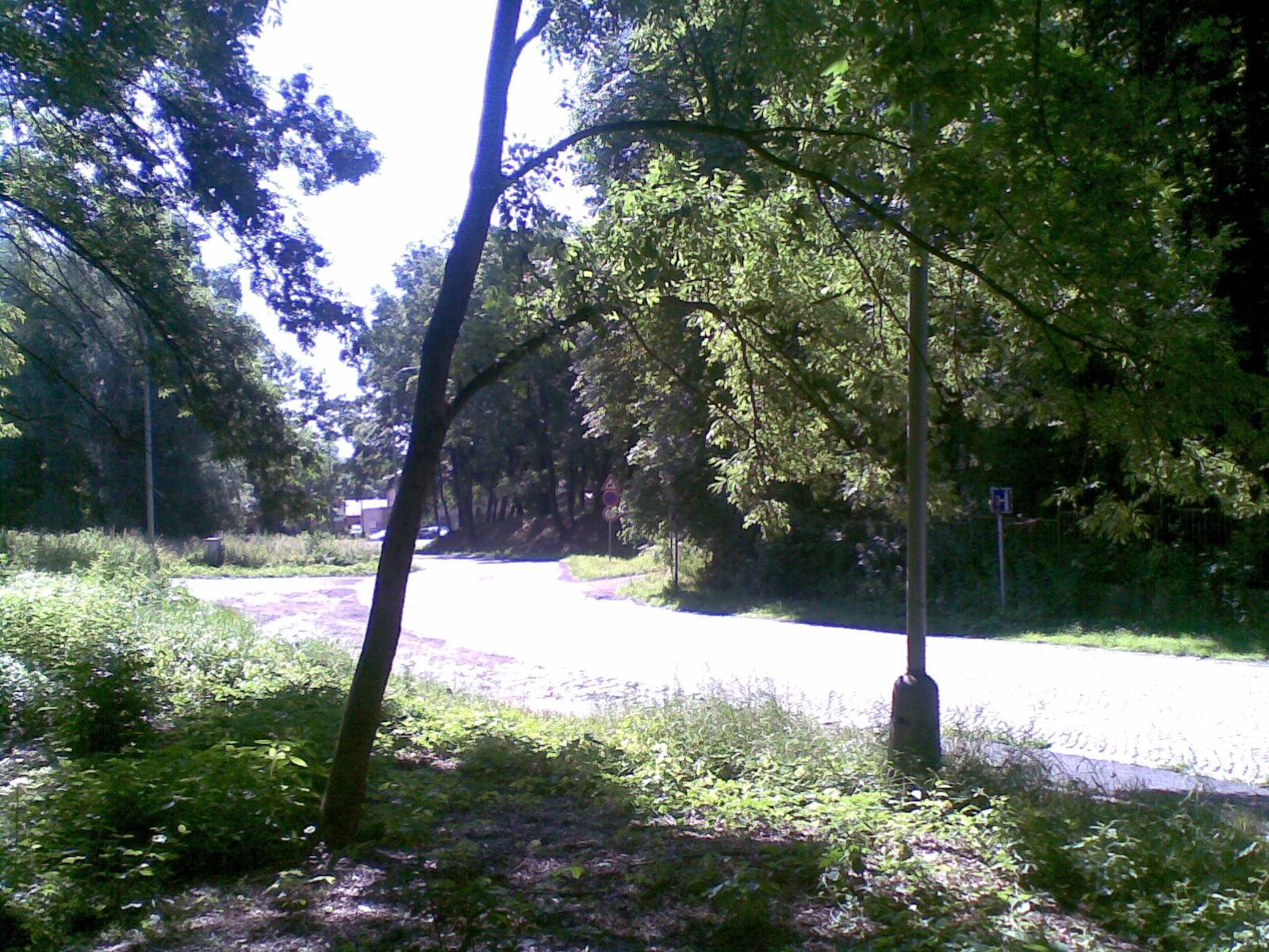 kaple_11_08