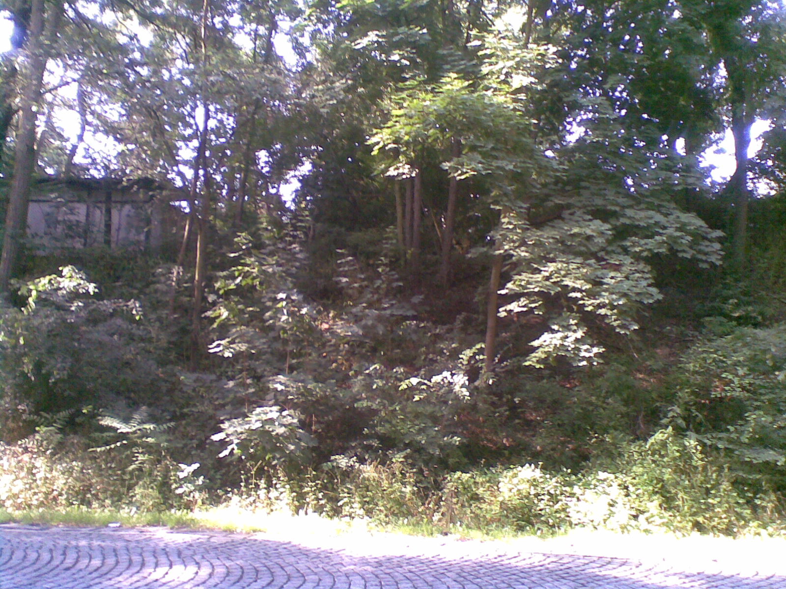kaple_11_09