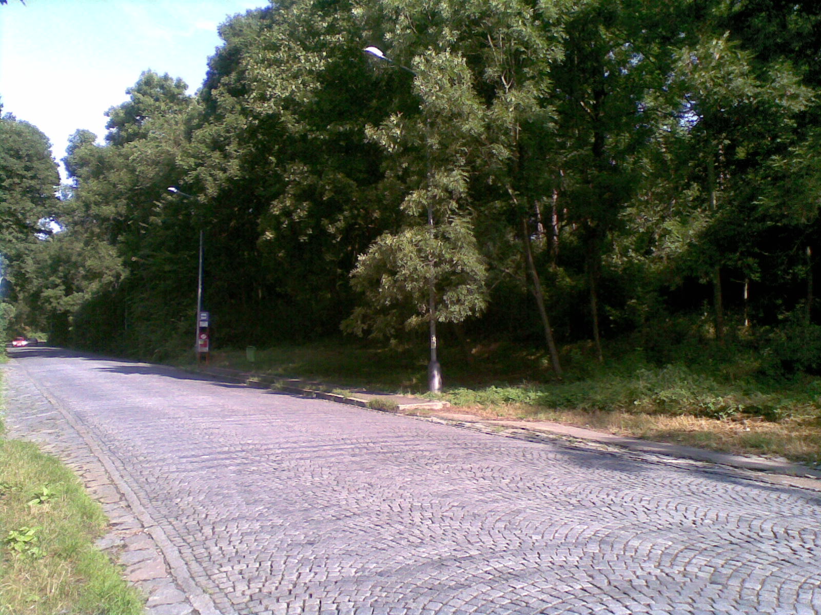 kaple_11_10