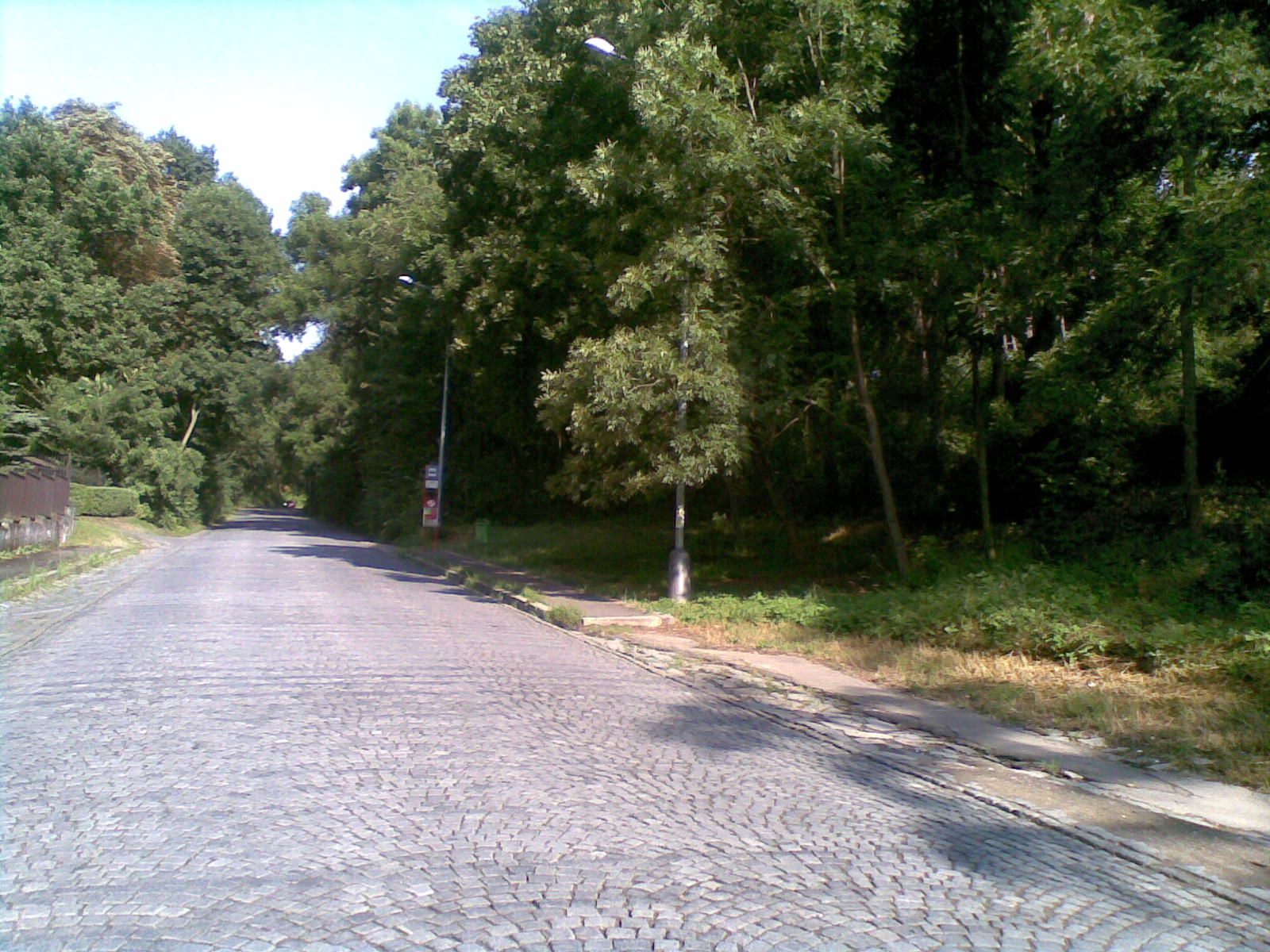 kaple_11_13