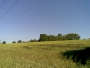 kap_12_02_02072013