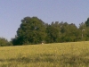 kap_12_03_02072013