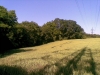 kap_12_04_02072013