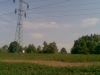 kaple_12_03