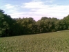 kaple_12_05