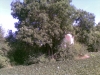 kaple_12_06