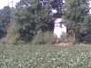 kaple_12_19