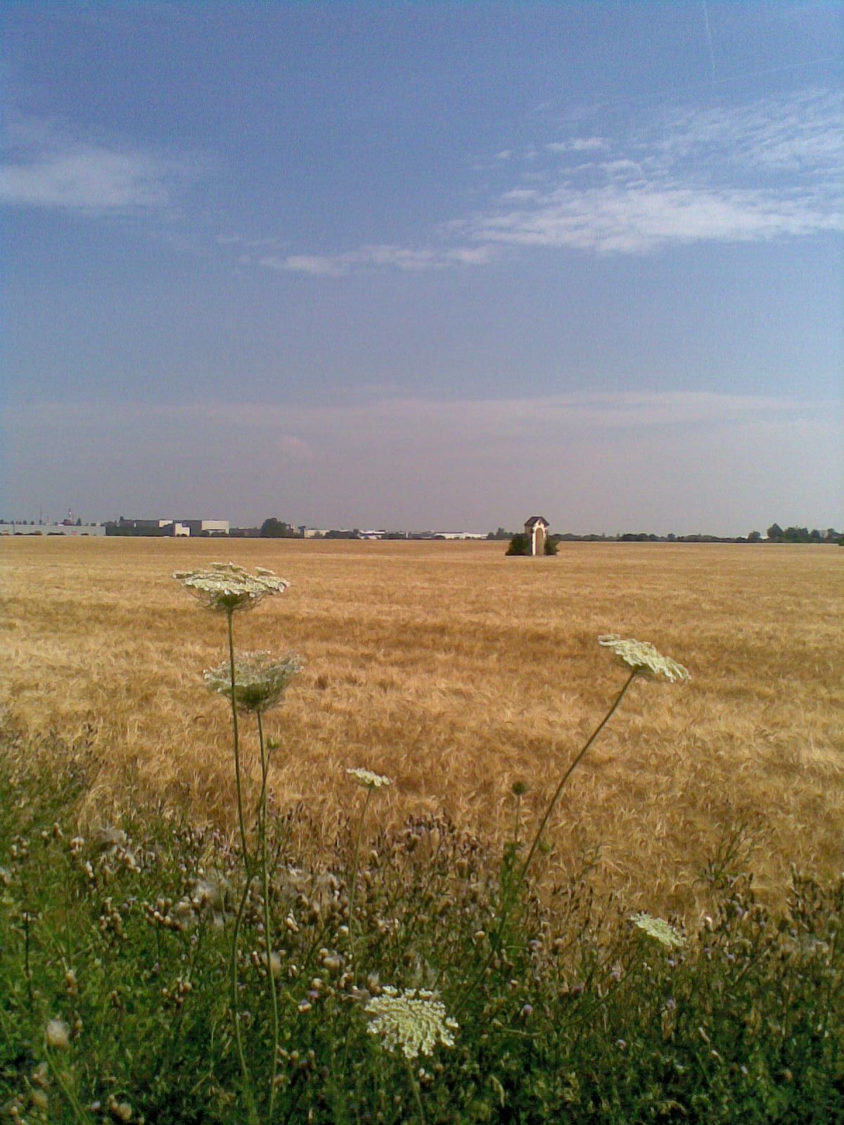 kaple_14_06