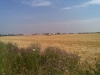 kaple_14_04